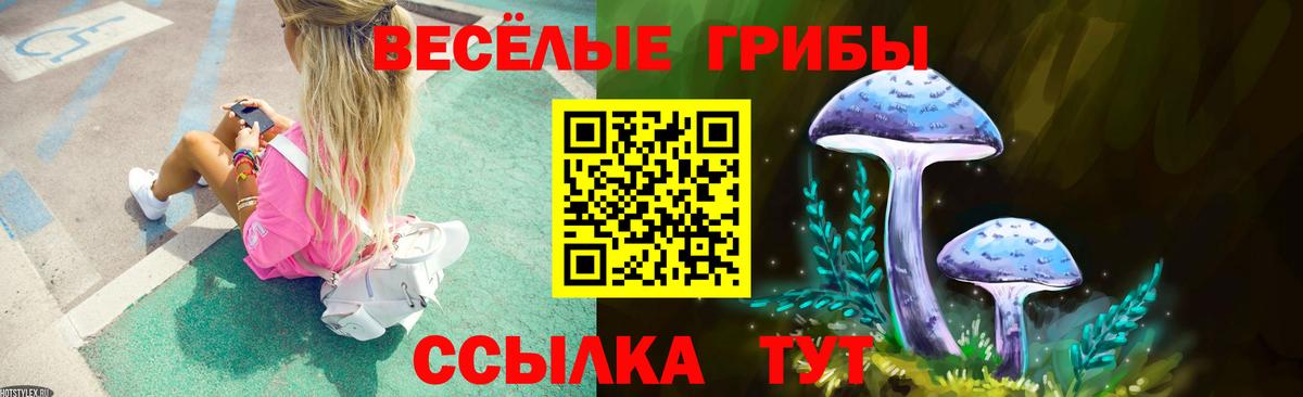 Псилоцибиновые грибы прущие грибы  закладка  Черняховск  Вход с VPN  Псилоцибиновые грибы ЛСД 